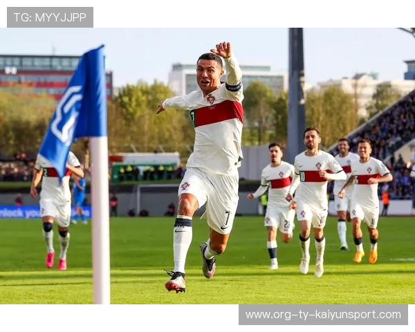 冰岛国家队备战欧洲杯预选赛，积极备战，冰岛欧洲杯名单