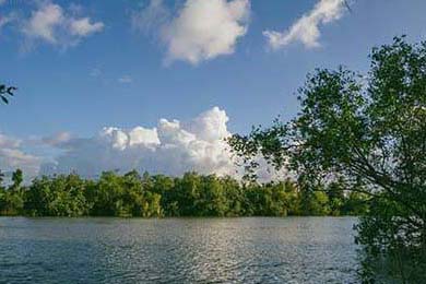 朱婷助球队拿下关键战女排世界杯，朱婷女排吧 朱婷个站